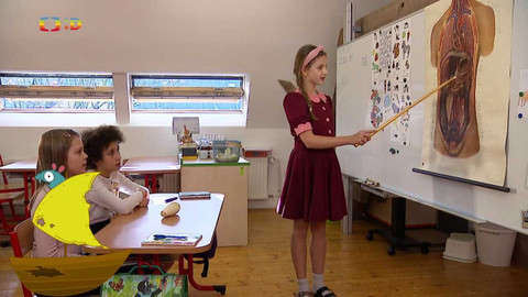 Draci v hrnci - Zelenina, která se bojí světla