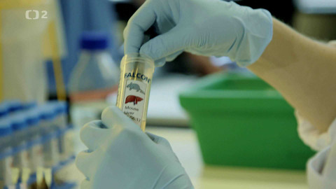 Dobrodružství vědy a techniky - Naše orgány - vývoj na souši