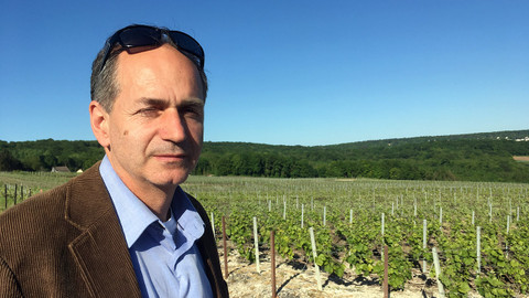 Postřehy odjinud - Champagne očima Jana Šmída