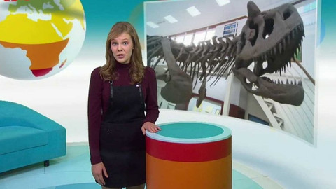 Zprávičky - 28. října 2017