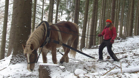 Chcete mě? - 15. února 2015