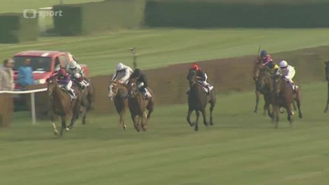 Turf - 23. října 2013