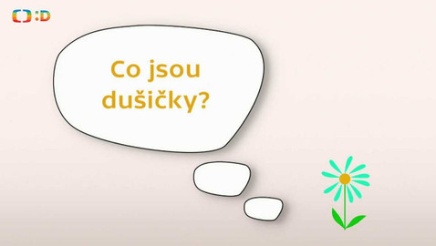 Paličky - Dušičky