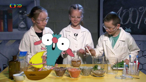 Draci v hrnci - Uvař něco z cizrny, úspěch bude patrný!