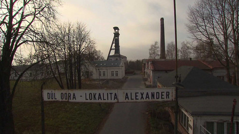 Zrezivělá krása - Alexandrův druhý život