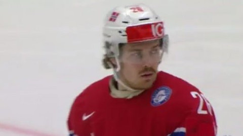 MS v ledním hokeji 2015 Česko - Dánsko - Norsko