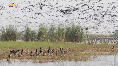 Zprávičky - 4. července 2024