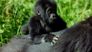 Andy a cesta kolem světa