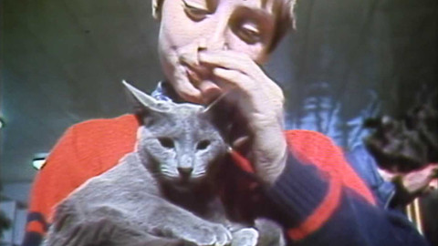 Archiv dne - 16. listopad 1986: Dostaveníčko koček