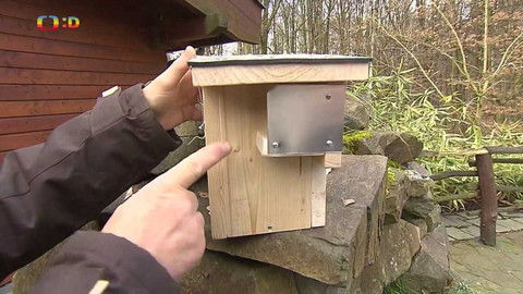 Zprávičky - 3. března 2022