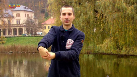 Lvíčata - 5. prosince 2020