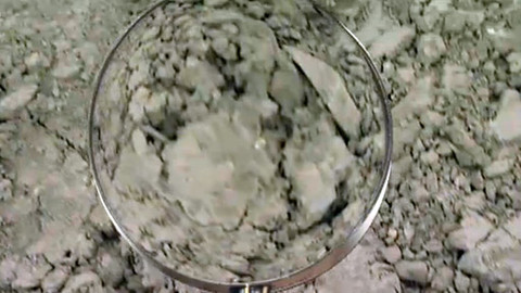 Zahrada pod lupou - 21. září 2011