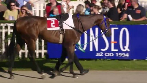 Jezdectví - Zlatý pohár EŽ