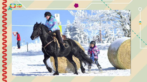 Telefon - 15. dubna 2016