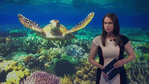 Horizont ČT24 - 13. června 2016