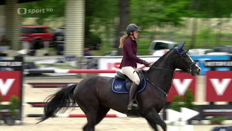 Jezdectví - Český skokový pohár Velká cena Hradištka