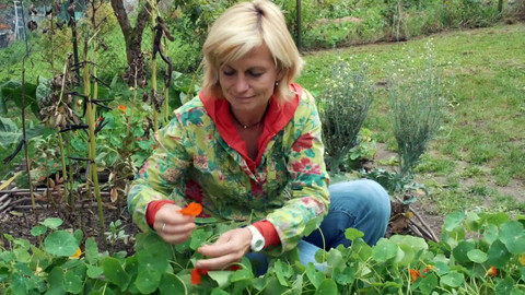 Kouzelné bylinky - Bylinky před penicilínem