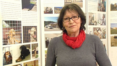 Chcete mě? - 11. března 2012