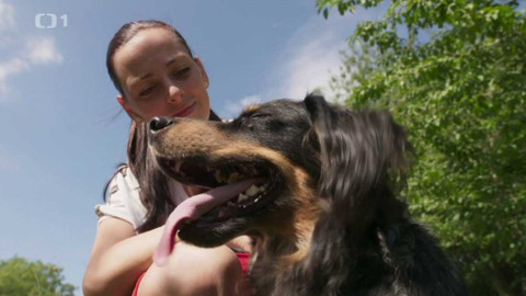 Kočka není pes - Útočný Koky a rozhádané kočky Tečka a Tygřík