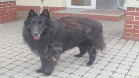 Chcete mě? - 26. června 2011