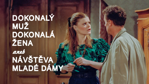 Dokonalý muž, dokonalá žena aneb Návštěva mladé dámy
