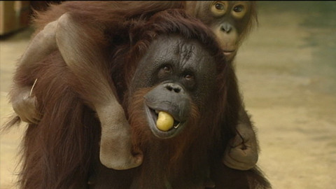 Chcete mě? - 30. června 2019