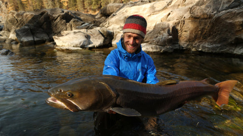 Rybí legendy Jakuba Vágnera - Tajmen sibiřský - Mongolsko