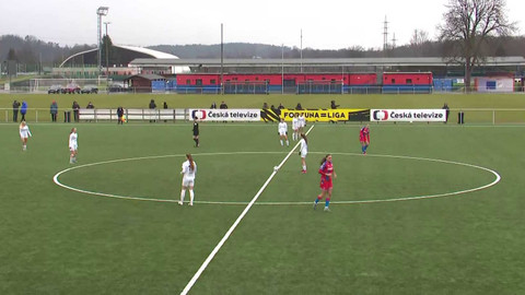 FORTUNA=LIGA - FC Viktoria Plzeň - 1.FC Slovácko