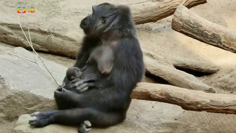 Zprávičky - 15. dubna 2020