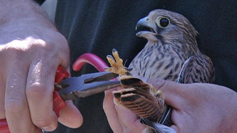 Chcete mě? - 3. září 2008