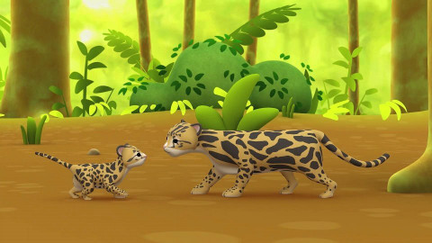 Leo, strážce přírody - Levhart obláčkový