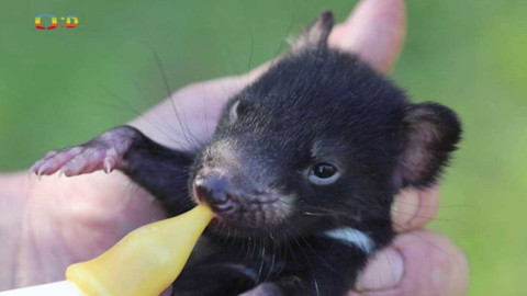 Zprávičky - 11. října 2020