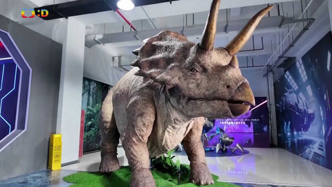 Zprávičky - 10. srpna