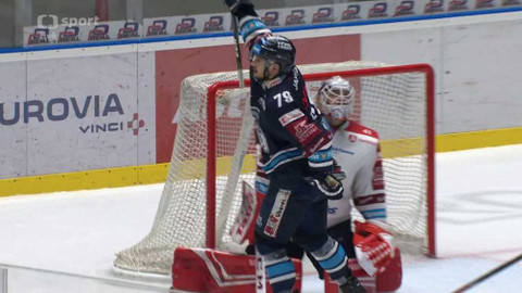 Buly hokej - HC Dynamo Pardubice - Bílí Tygři Liberec