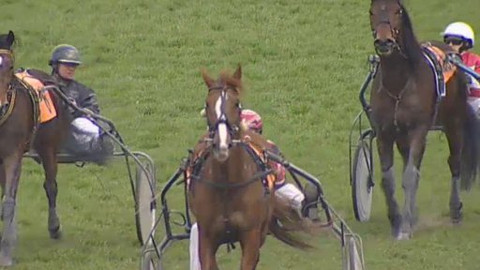 Jezdectví - Dubnová cena