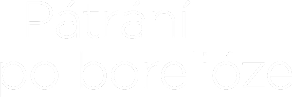 Pátrání po borelióze