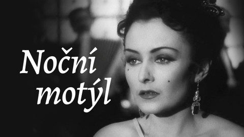 Noční motýl