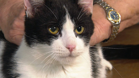 Chcete mě? - Chcete je?