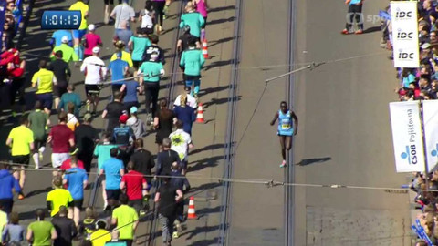 Sportovní běh a chůze - Sportisimo 1/2Maraton Praha 2016