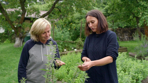 Zázračné bylinky - 8/13 Únava