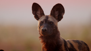 Andy a cesta kolem světa