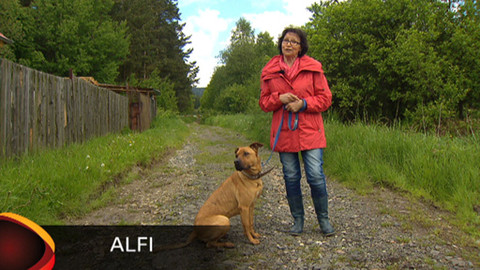 Chcete mě? - Chcete je?