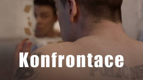 Konfrontace