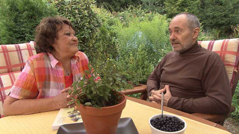 Hobby naší doby - 19. října 2013