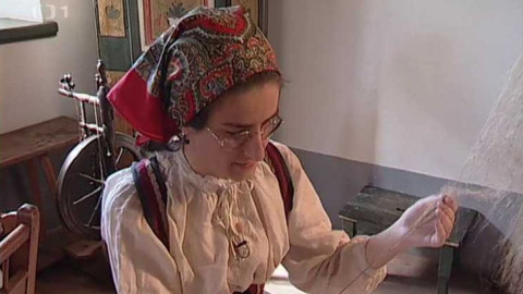 Kořeny - Zubrnice u Ústí nad Labem