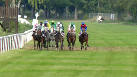 Dostihy - Cena zimní královny