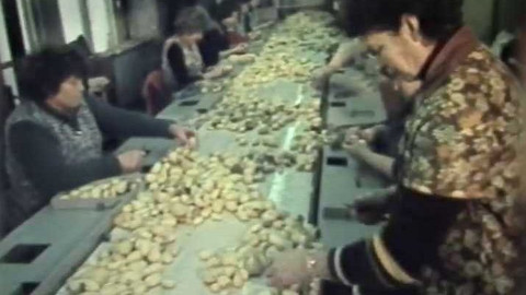 Archiv ČT24 - Nic nazmar.