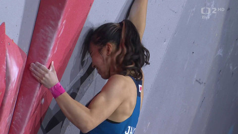 Světový pohár ve sportovním lezení - SP Česko