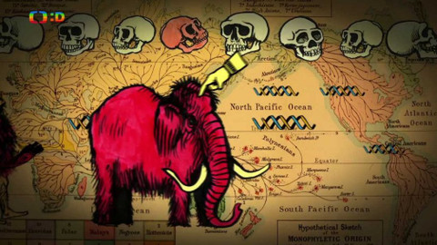 Sám v muzeu - Lebka neandertálce