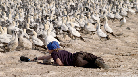 Zvuky přírody - 2/3 Tajemství tereje bílého